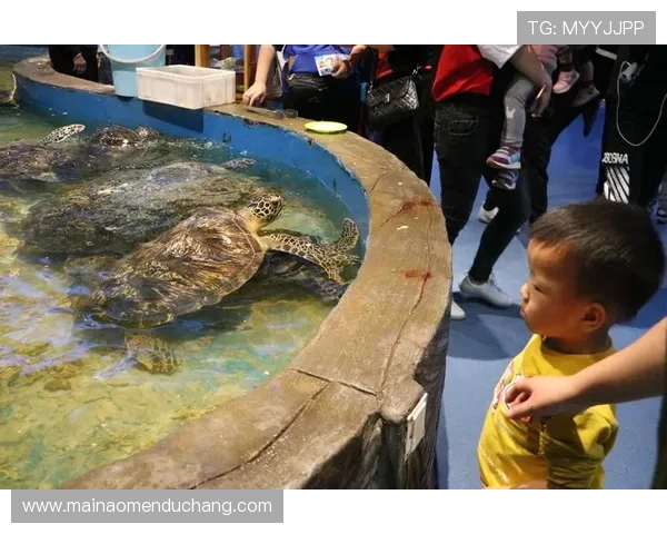 澳门回力海立方简介:澳门回力海立方的文化特色与旅游吸引力分析 澳门回力海立方简介:澳门回力海立方的文化特色与旅游吸引力分析