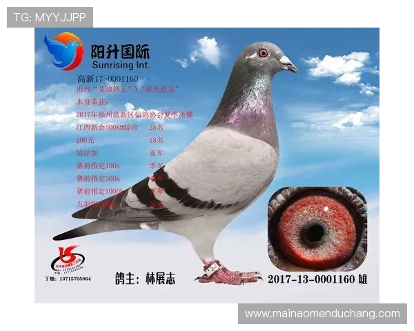 AG国际真人版会员注册常见问题解答,解决新用户在注册过程中遇到的困惑与难题 AG国际真人版会员注册常见问题解答,解决新用户在注册过程中遇到的困惑与难题