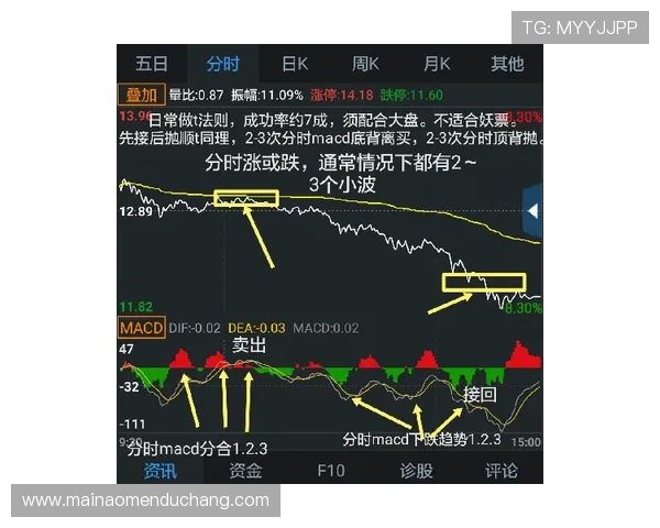 Bg真人怎么看走势，实用经验指导帮助玩家做出理性判断