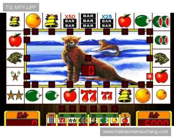 丰富多彩的水果老虎机百家乐官网游戏玩法详细攻略指引