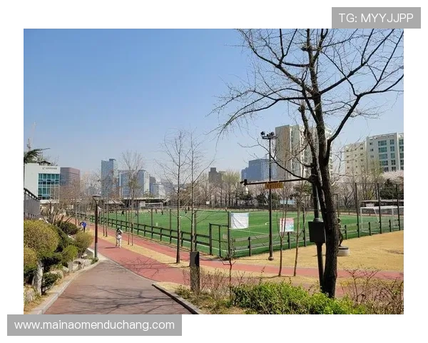 南宫ng体育用户体验优化：便捷操作与多样互动功能详解