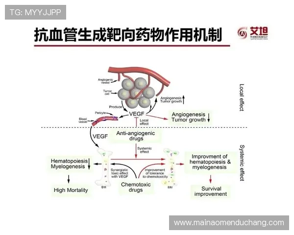 提升K8视讯安全防护水平的实用策略与行业最佳安全措施推荐