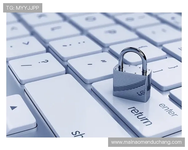 欧博视讯的安全保障措施如何确保用户数据隐私与信息安全