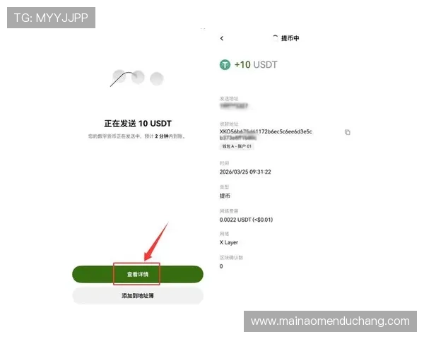 澳门总统手机官网充值与提现流程操作指南及注意事项