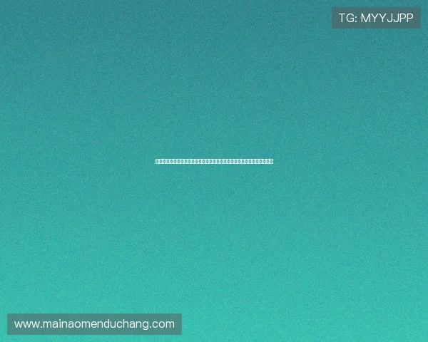 世界杯巴西海地球队状态最新分析：两队备战情况与关键球员表现全景解读